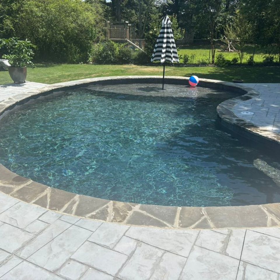 Pool daddy pool kidney backyard